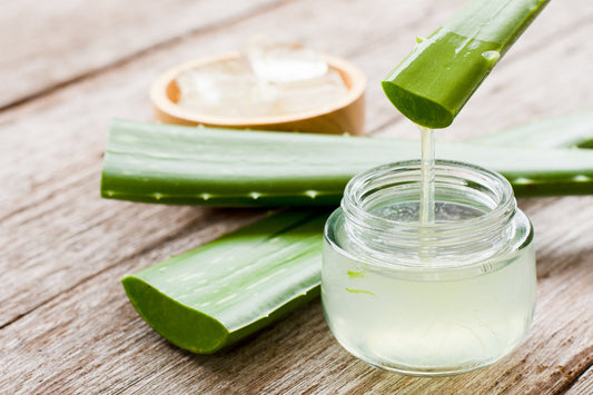 Aloe Vera: Your Skin’s Best Friend This Summer