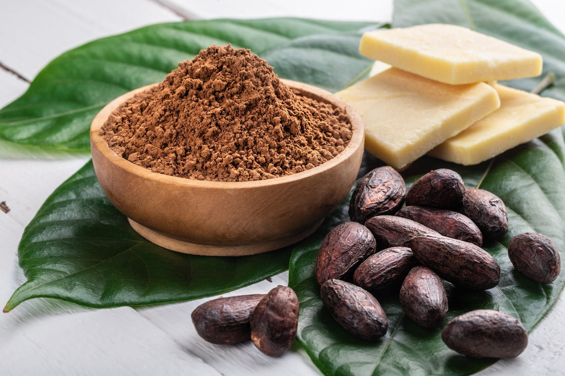 Cocoa Butter Benefits for Skin: Nature's Nourishment for Your Skin